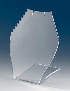 808002.jpg